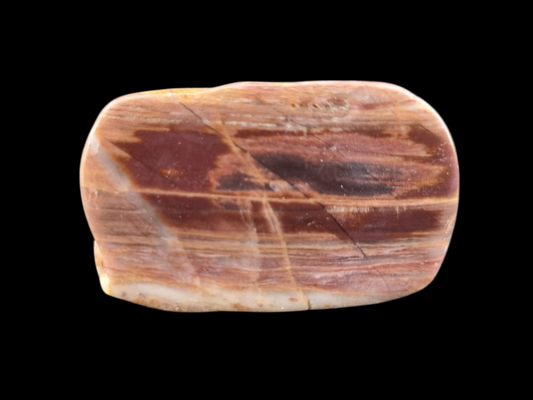 Polished Petrified Wood Slab – Earthy Red & Cream Striations | Natural Fossil Stone | Unique Collector's Piece