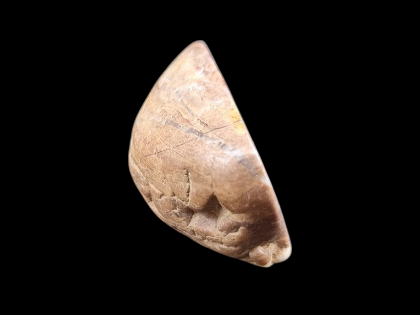 Polished Petrified Wood Slab – Earthy Red & Cream Striations | Natural Fossil Stone | Unique Collector's Piece