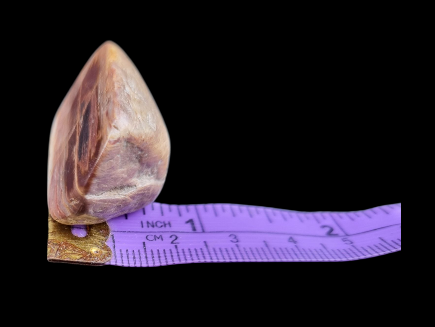 Polished Petrified Wood Slab – Earthy Red & Cream Striations | Natural Fossil Stone | Unique Collector's Piece