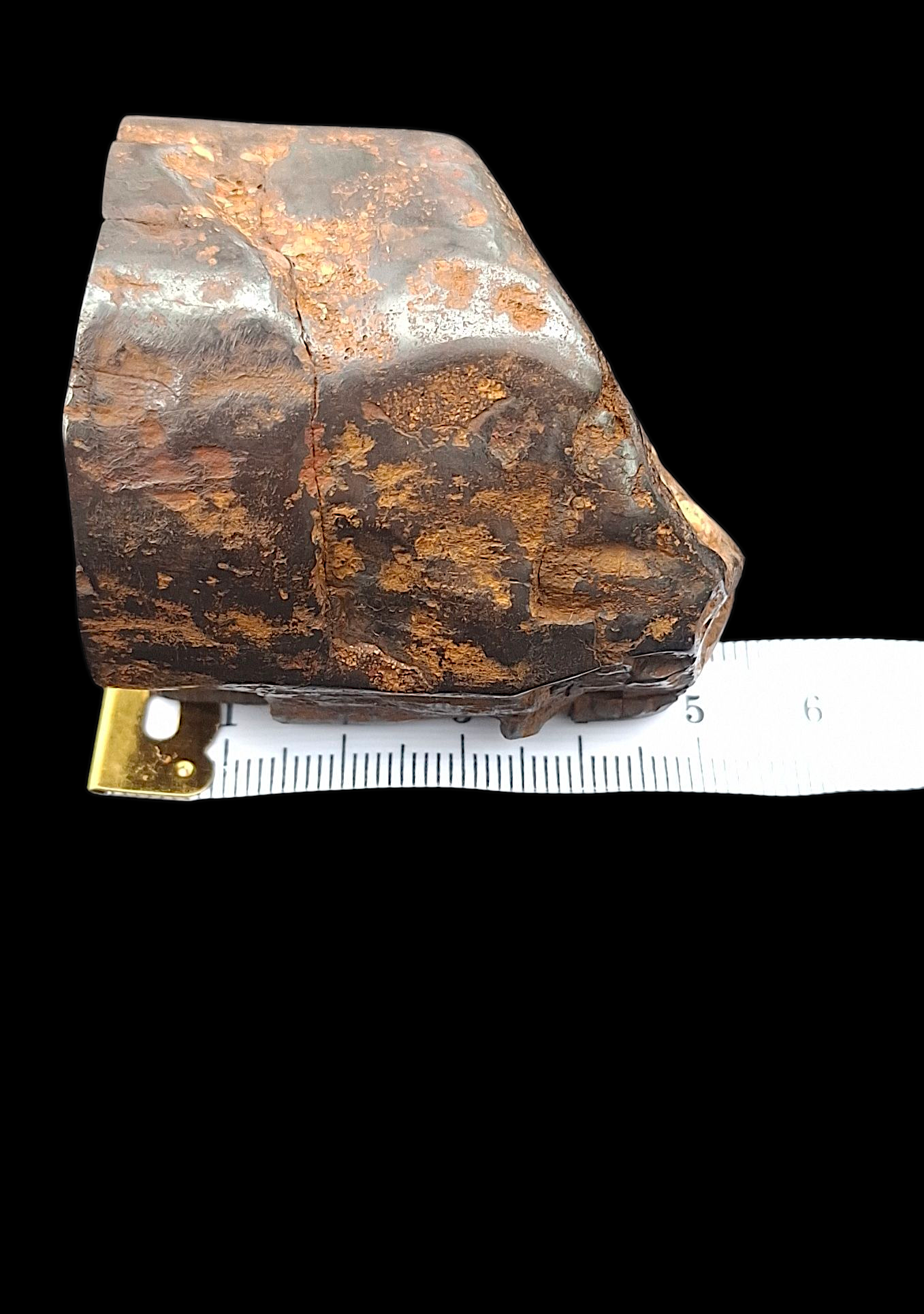 Hand-Cut & Polished Petrified Wood | Fossil Stone from Australia