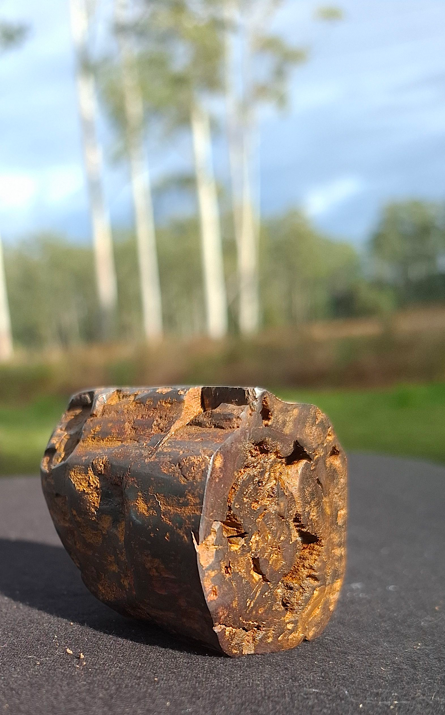 Hand-Cut & Polished Petrified Wood | Fossil Stone from Australia