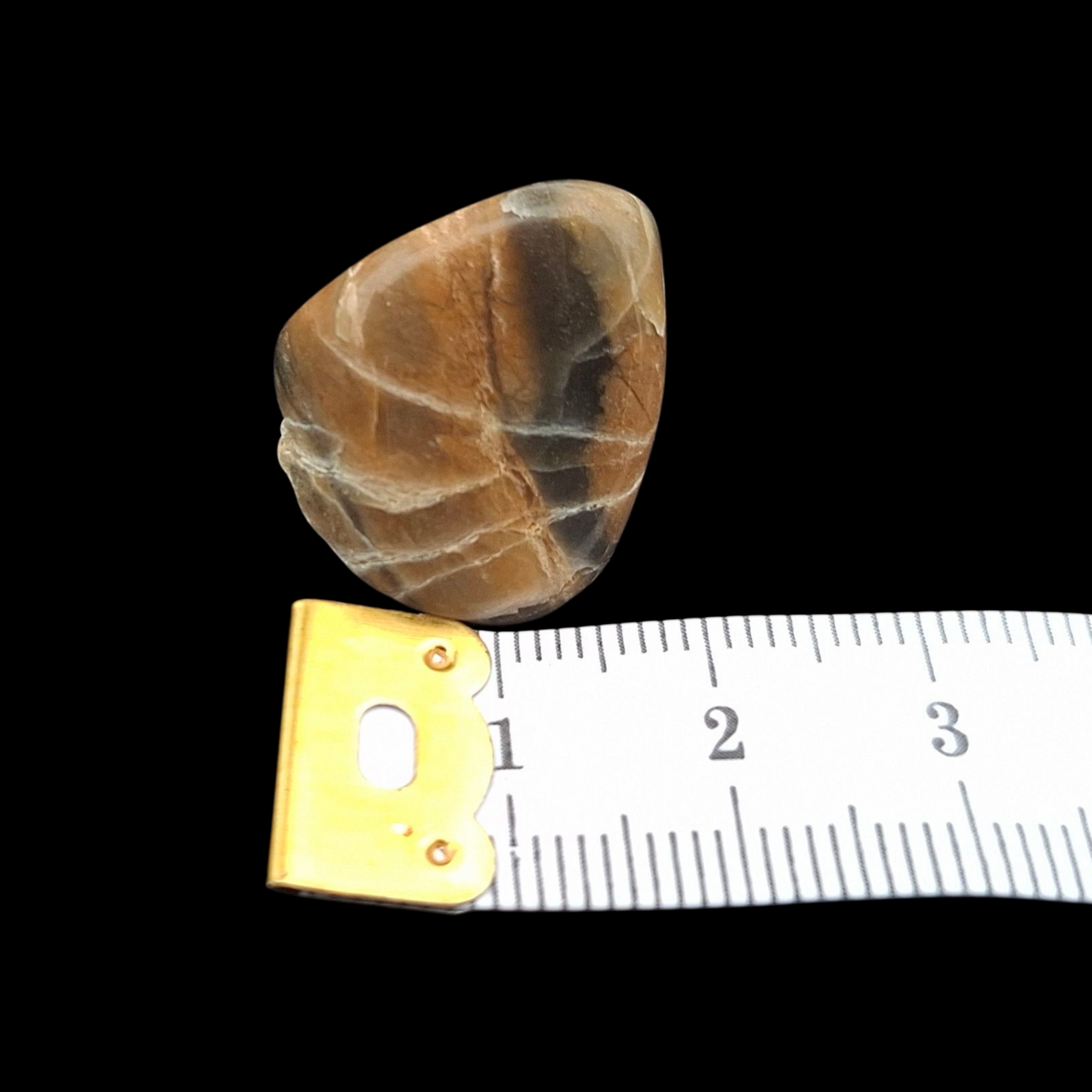 Polished Petrified Wood – Nature’s Stash Fossil Gem (3 cm)