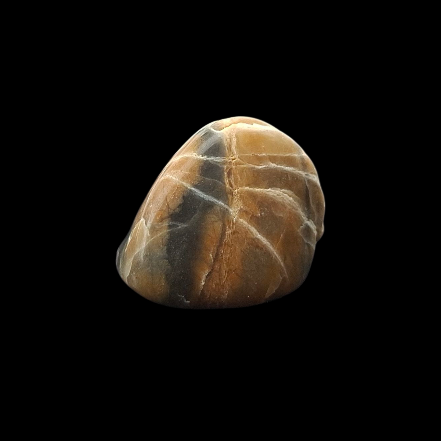 Polished Petrified Wood – Nature’s Stash Fossil Gem (3 cm)