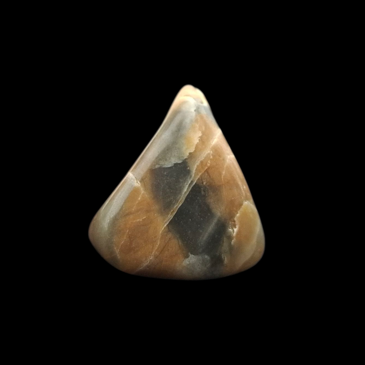 Polished Petrified Wood – Nature’s Stash Fossil Gem (3 cm)