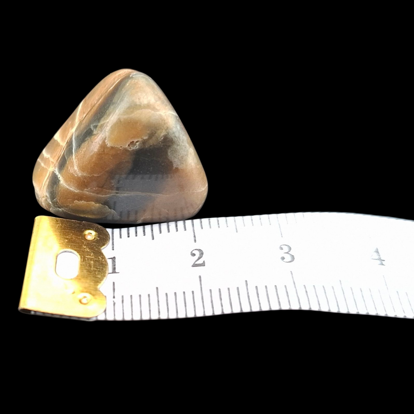 Polished Petrified Wood – Nature’s Stash Fossil Gem (3 cm)